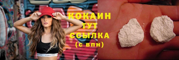 ГАЛЛЮЦИНОГЕННЫЕ ГРИБЫ Инта