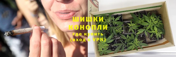 ГАЛЛЮЦИНОГЕННЫЕ ГРИБЫ Инта