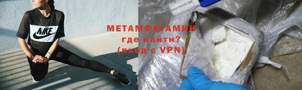 ГАЛЛЮЦИНОГЕННЫЕ ГРИБЫ Инта