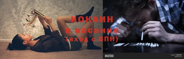 ГАЛЛЮЦИНОГЕННЫЕ ГРИБЫ Инта