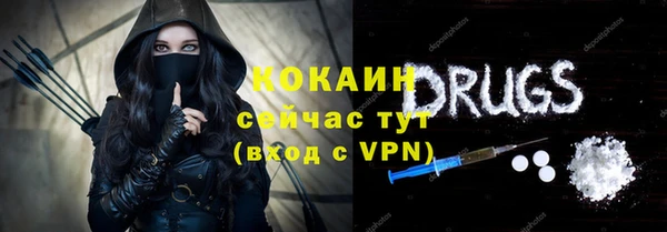 ГАЛЛЮЦИНОГЕННЫЕ ГРИБЫ Инта