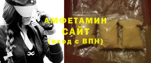 ГАЛЛЮЦИНОГЕННЫЕ ГРИБЫ Инта