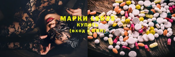 ГАЛЛЮЦИНОГЕННЫЕ ГРИБЫ Инта