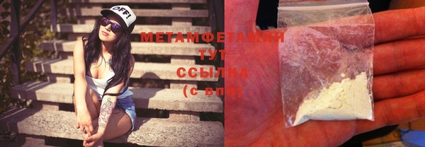 ГАЛЛЮЦИНОГЕННЫЕ ГРИБЫ Инта